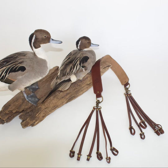 A taxidermy mount of two northern pintuck ducks on a piece of driftwood, with brown leather straps and brass hardware hanging from the mount against a plain white background.