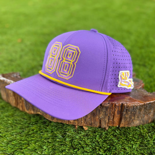 A purple baseball cap with yellow and white outlined &